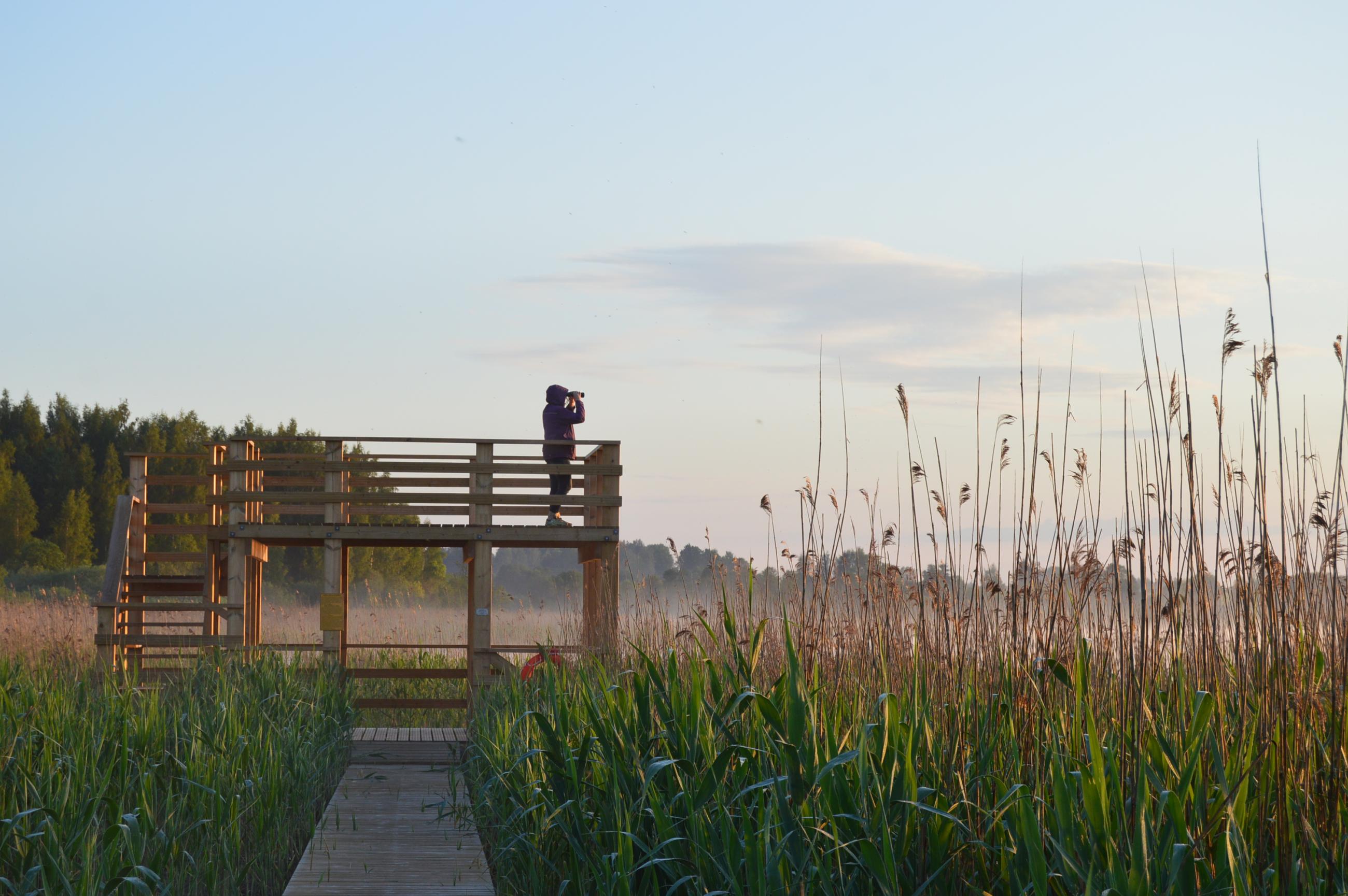 Vilaka lake island latvia.travel